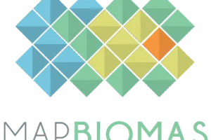 Como o MapBiomas usa IA do Google para mapear e conservar áreas verdes no Brasil