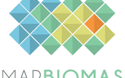 Como o MapBiomas usa IA do Google para mapear e conservar áreas verdes no Brasil