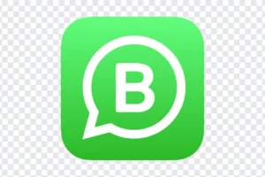 Como usar o WhatsApp Business: guia completo para empresas