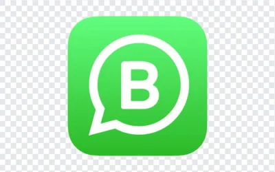 Como usar o WhatsApp Business: guia completo para empresas