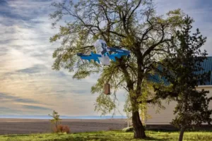 Amazon Retoma Entregas por Drones no Arizona Após Incidente