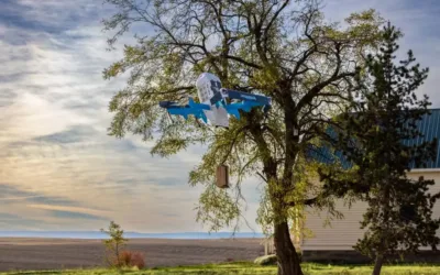 Amazon Retoma Entregas por Drones no Arizona Após Incidente