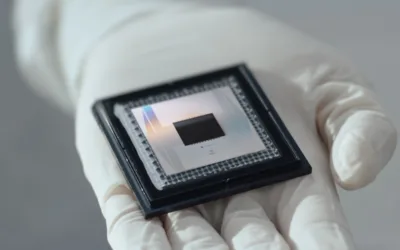 Willow: Google Alcança Vantagem Quântica Verificável com Novo Chip e Algoritmo Quantum Echoes