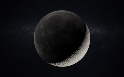 ONTOS: Sucessor Espiritual de SOMA é Revelado no TGA 2025